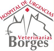 vetrinarian borges