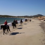 Horseback Riding san carlos mexico