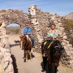 Horseback Riding san carlos mexico