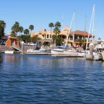 hammerheads marina photo