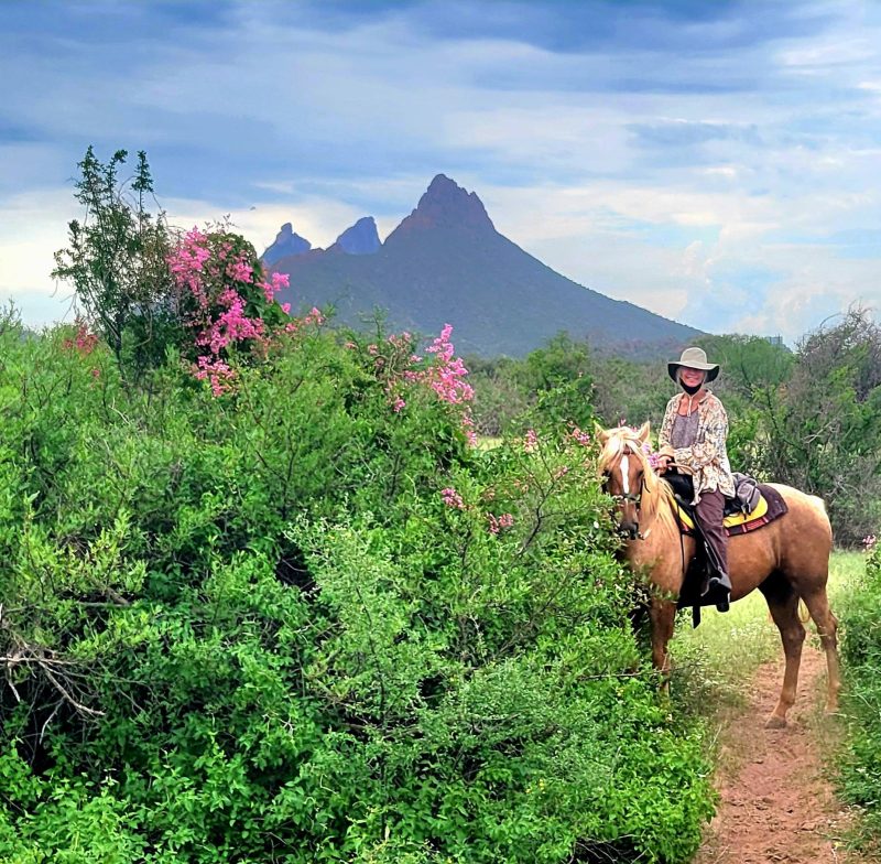 El Rancho del Desierto - Astrid's Ranch