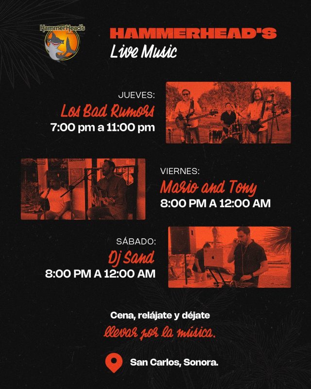 HammerHeads Live Music January 2026