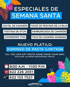 Tortuga Semana Santa 2026