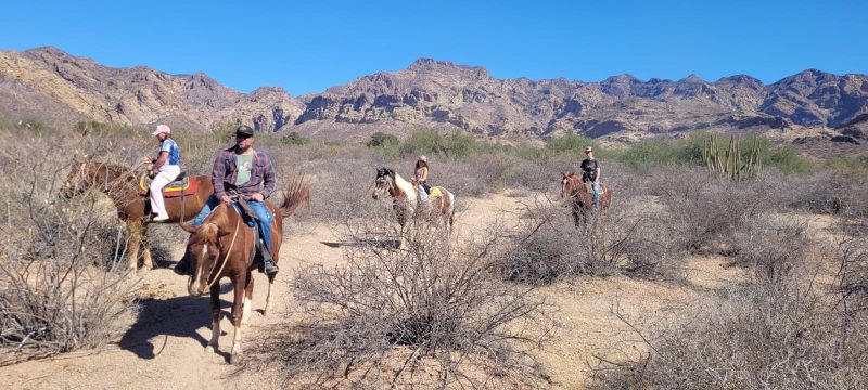 family ride in the desert with El Rancho del Desierto - Astrid's Ranch
