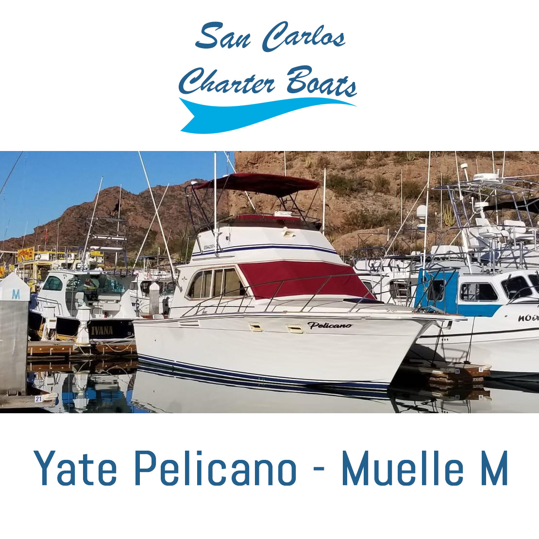 San Carlos Charter Boats Yates Pelicano & Amigo